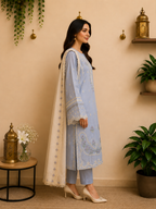 3-Piece Ready to Wear Solid Embroidery Suit