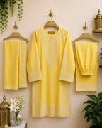 3-Piece Ready to Wear Embroidered Suit